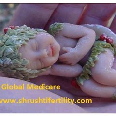 Shrushti Global Medicare