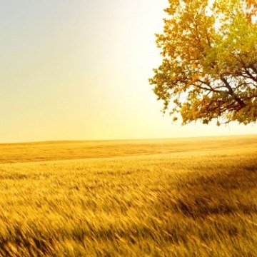 For the sake of Allah