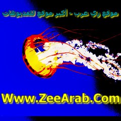 ZeeArab.com