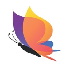 Designtheme Creatives