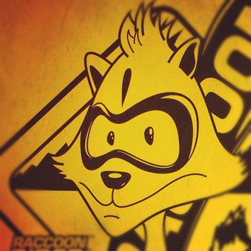 Raccoon Riders