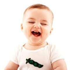 Videos Funny