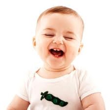 Videos Funny
