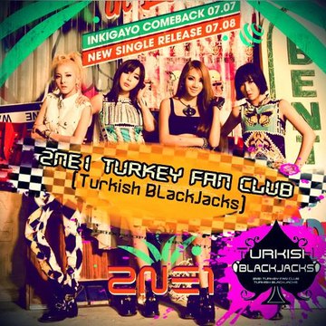 2NE1 Turkey Team