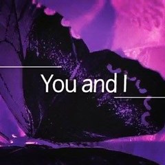Lonely Butterfly