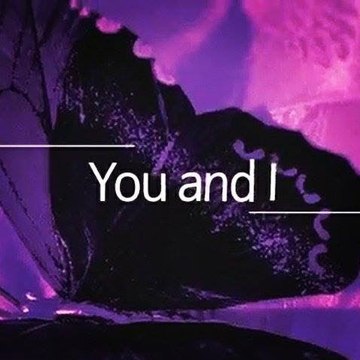Lonely Butterfly