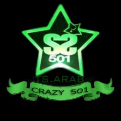 crazy501TSArab .