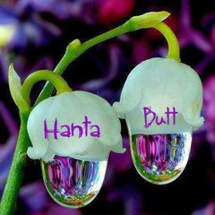 Hanta Butt
