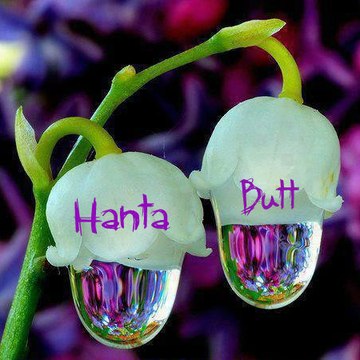 Hanta Butt