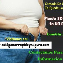 adelgazarrapidoyseguro