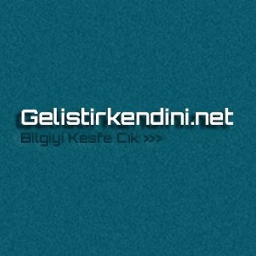 Gelistirkendini Net