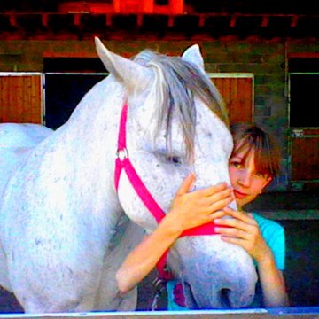 infinity-horses
