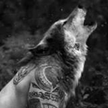 Wolf Wise