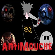 AntiMouche L'araignée