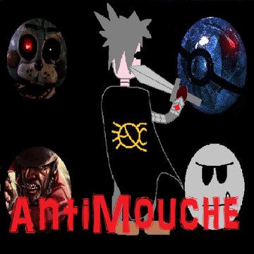 AntiMouche L'araignée