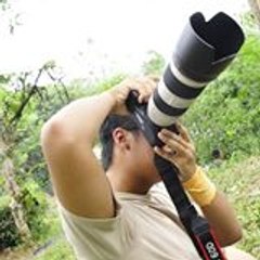 kittodm