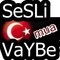 Seslibudur