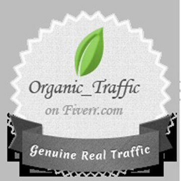 organic_traffic_fiverr