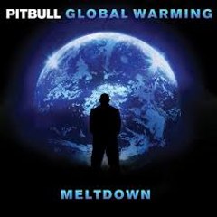 pitbull in your life