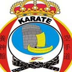 Liga De Karate Puno Yoshikan Ldkp