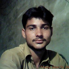 Rana sarwar