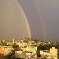 Dominique Faudet-Bauvais