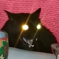 Anon156[ArchiveAccount]