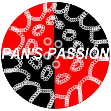 Pan's Passion Steelband