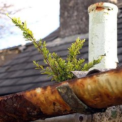 gutter-cleaning