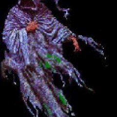 goreslave123