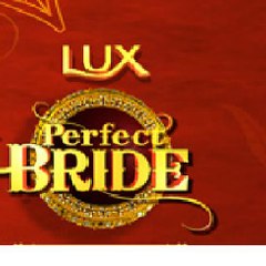 Perfect Bride
