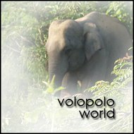 volopolo world