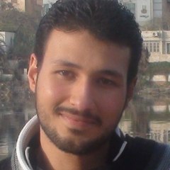 Ashraf El-kashef