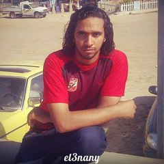 محمد العنانى