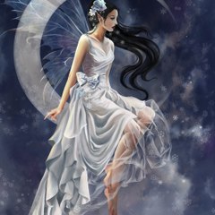 -Argentea-