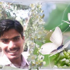 yasir mastoi