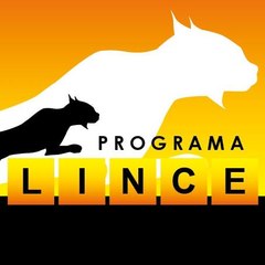 ProgramaLINCE
