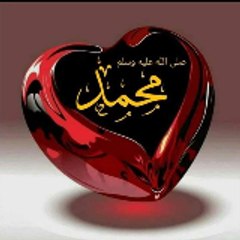 Raja Faiz Ur Rasul