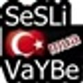 Seslibaslat-SESLiiiVAYBEE