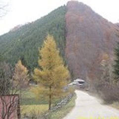 Natura Pretutindeni