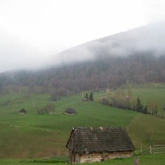 mariuspitulice