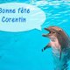 corentin4636