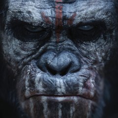 MKawus