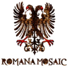 Romana Mosaic Vietnam