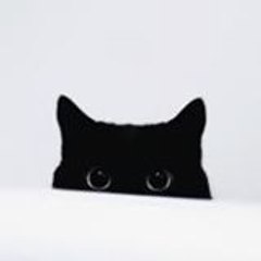 ダニエル パチェコ