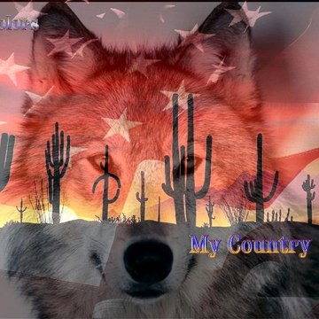 Dayna McColley Hislope