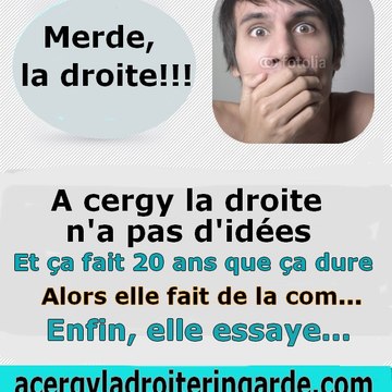 acergyladroiteringarde