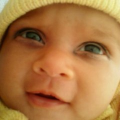 fizza jamshed