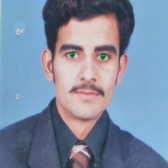 malik Malik Sarwar