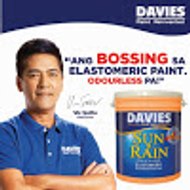 Davies Paints